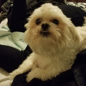 Meet your Posher, Roxanne